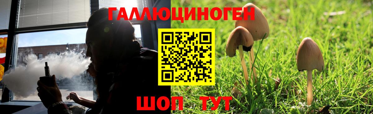 Псилоцибиновые грибы Magic Shrooms  дарнет шоп  Вход с VPN  Осинники  Псилоцибиновые грибы GOLDEN TEACHER 