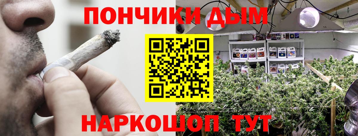 Осинники  Каннабис семена  Вход с VPN  Конопля гибрид  Шишки марихуана OG Kush 